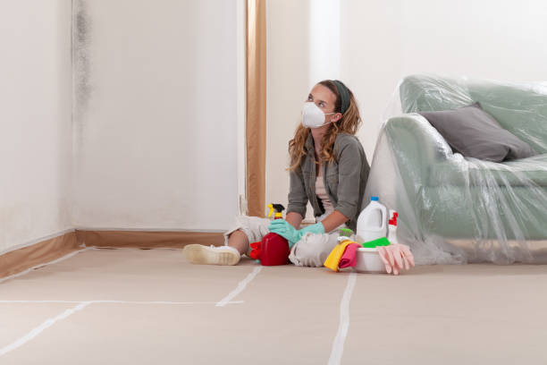 Reliable Black Mold Remediation contractor in Saugus, MA by Car Mold Remediation